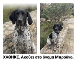 Χάθηκε .. - κλικ για μεγέθυνση χάθηκε ..